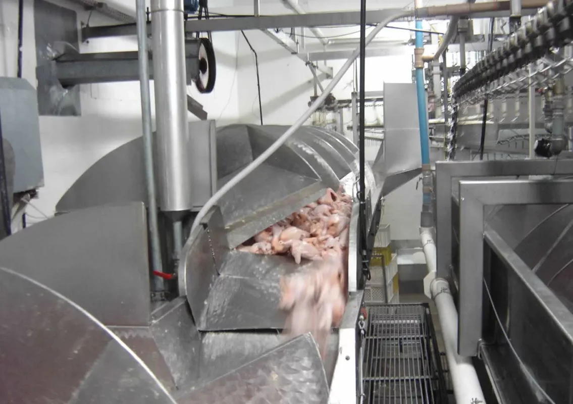 Equipamentos industriais para frigoríficos