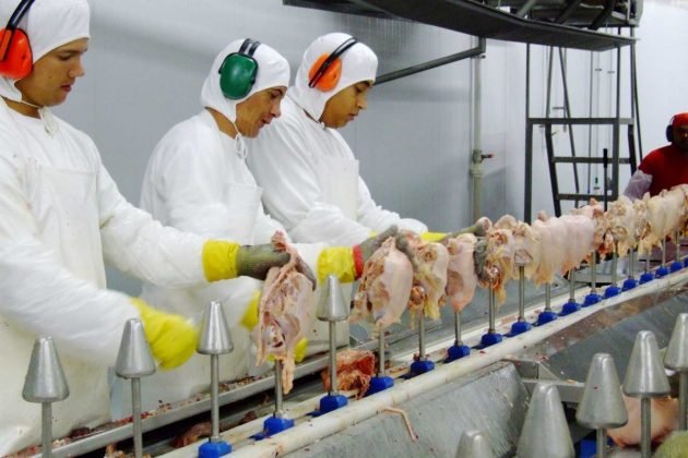 Ergonomia na indústria frigorífica