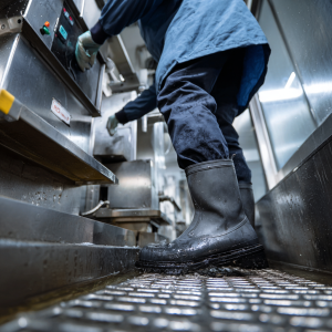 O papel da barreira sanitária na indústria de alimentos