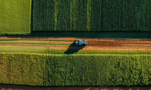 U$169 bilhões: entenda a produção de alimentos no Brasil