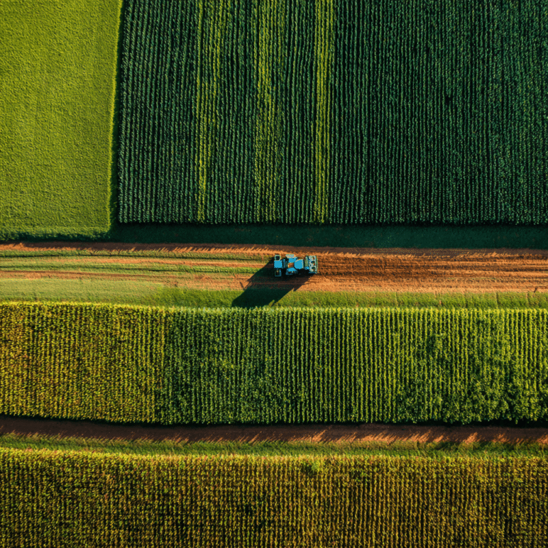 U$169 bilhões: entenda a produção de alimentos no Brasil