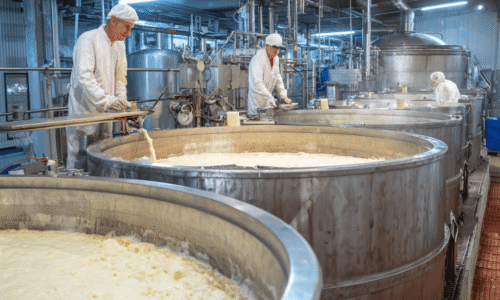 Produção de queijo: todas as etapas de fabricação industrial